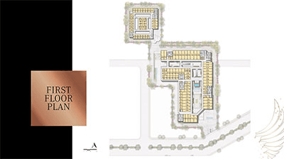 Plan 3